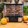 Suszarka do grzybów, warzyw i owoców Kohersen Stainless Steel MAX