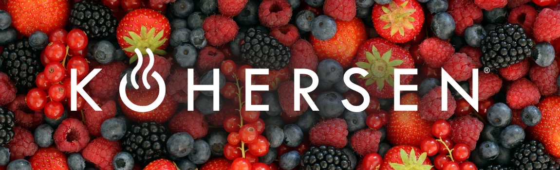 Czajnik elektryczny toster szary opiekacz do tostow Kohersen