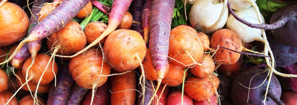 Warzywa korzeniowe